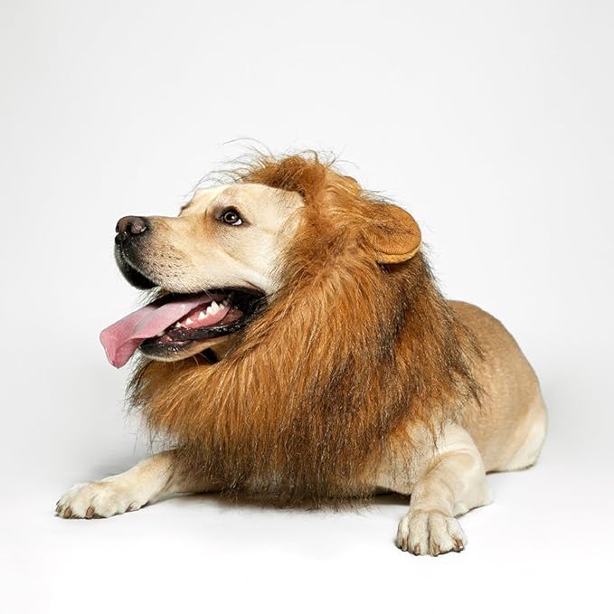 Realistic & Funny Lion Mane for Dogs Complementary Lion Mane for Dog Costumes for Medium to Large Sized Dogs Costumes for Animals