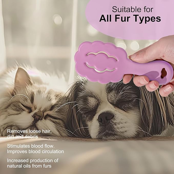 Cloud Shape Small Dog Grooming Brush - Soft Bristle Brush for Gentle Detangling & Massage - Ideal for Maltese, Shih Tzus, Yorkies, and Puppies - Portable & Durable Design, Purple