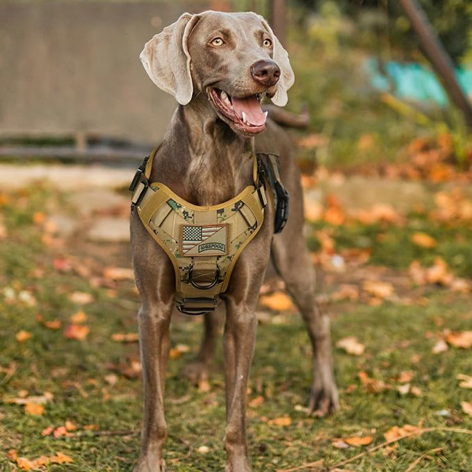 rabbitgoo Tactical Dog Harness for Large Dogs, Heavy Duty Dog Harness with Handle, No-Pull Service Dog Large Breed, Adjustable Military Dog Vest Harness for Training Hunting Walking, Brown Camo, M