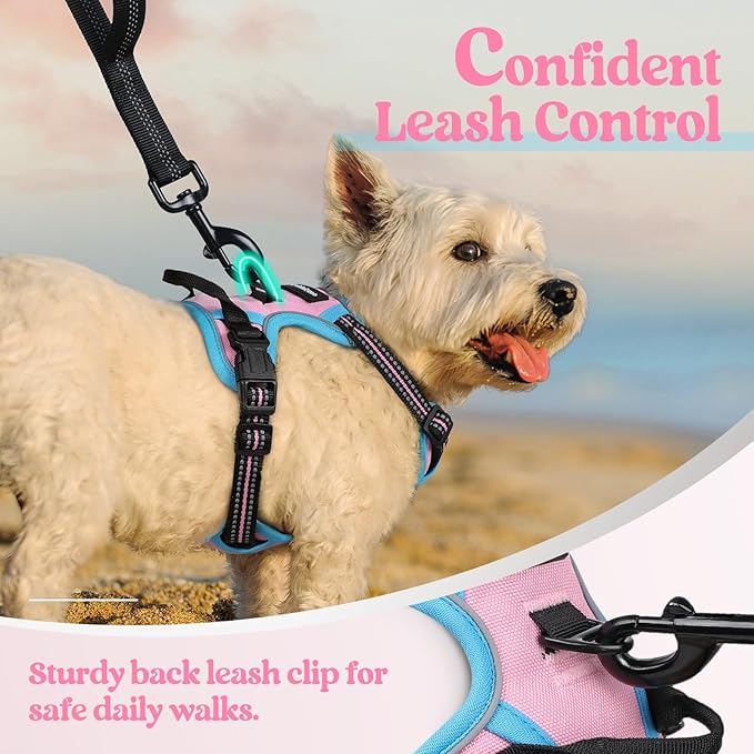 rabbitgoo Dog Harness, No-Pull Pet Harness with 2 Leash Clips, Adjustable Soft Padded Dog Vest, Reflective No-Choke Pet Oxford Vest with Easy Control Handle for Large Dogs, Pink & Blue, X-Small
