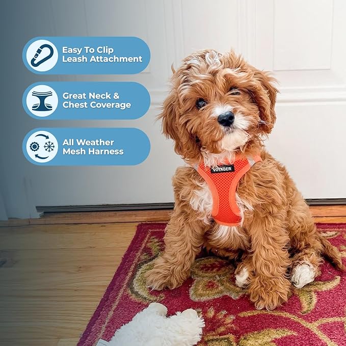Voyager Step-in Air Dog Harness - All Weather Mesh, Reflective, No Pull Harness for Small, Medium Dogs, Cats - Secure with Hook & Loop Fastener, Buckle, Double D-Rings - Orange, XL