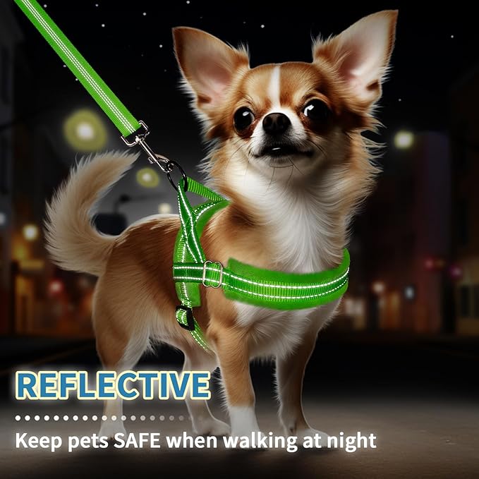 SlowTon No Pull Small Dog Harness and Leash Set, Puppy Soft Vest Harness Neck & Chest Adjustable, Reflective Lightweight Harness & Anti-Twist Pet Lead Combo for Small Medium Dogs(G,XXS)