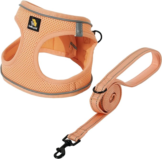 BELLA & PAL Puppy Harness with Leash Set, Dog Harness for Small Dogs No Pull, Dog Leash for Small Dogs, Step in Harness for Extra Small Dogs, Peach Harness, L