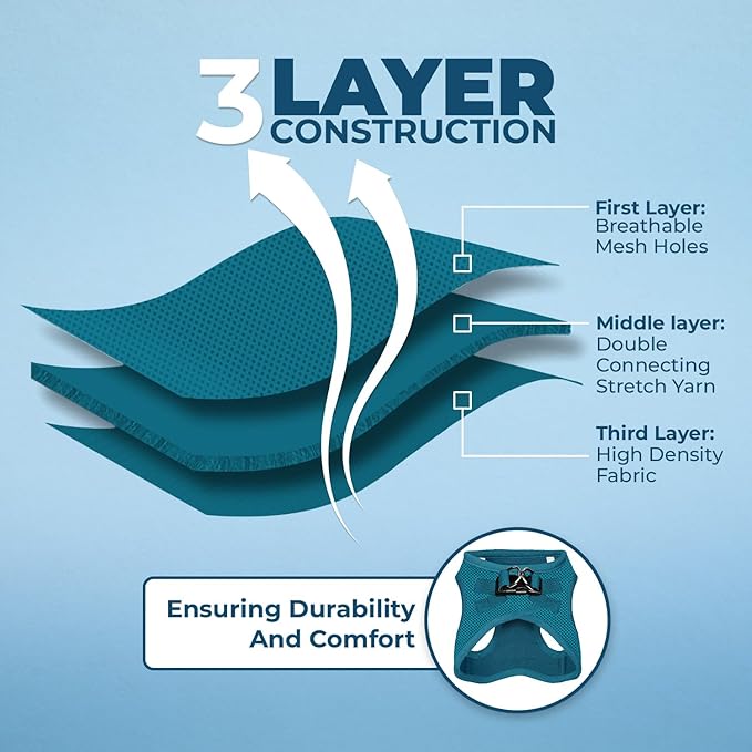 Voyager Step-in Air Dog Harness - All Weather Mesh, Reflective, No Pull Harness for Small, Medium Dogs, Cats - Secure with Hook & Loop Fastener, Buckle, Double D-Rings - Turquoise, XS