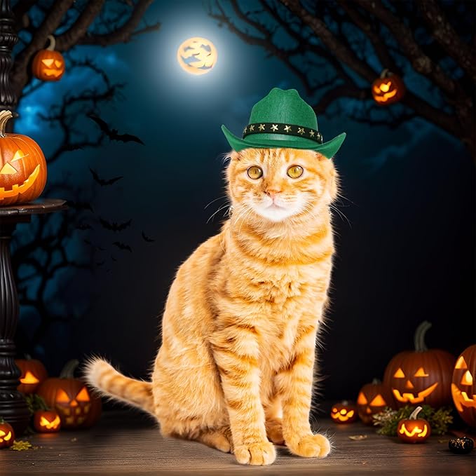 choyaxo Pet Cowboy Costume Cosplay Cap Halloween Costumes for Dogs Cat Pet Party Decoration Mini Cowboy Hat (Green, Small)