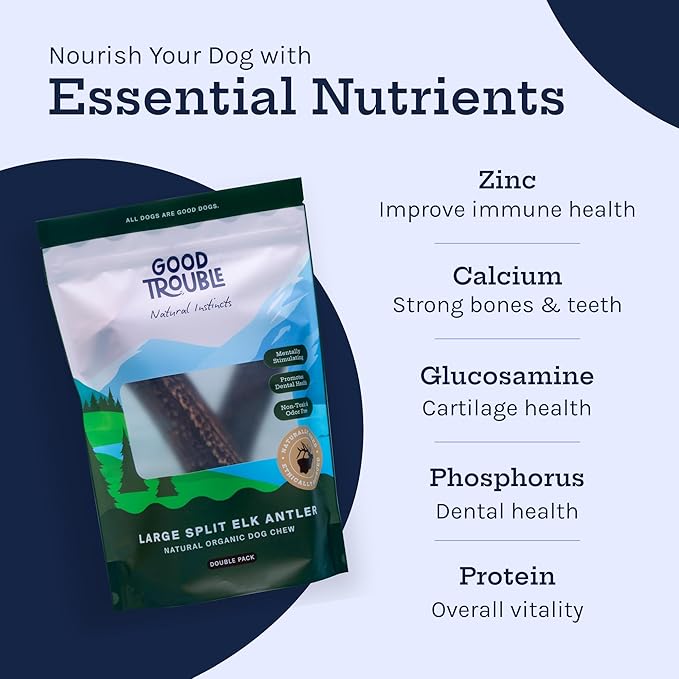 Good Trouble Pets Premium Elk Antlers for Medium Dogs - All-Natural, Shed Antler Chews for Dental Health & Calming - Durable Dog Bones for Aggressive Chewers - Cruelty-Free, North American Sourced