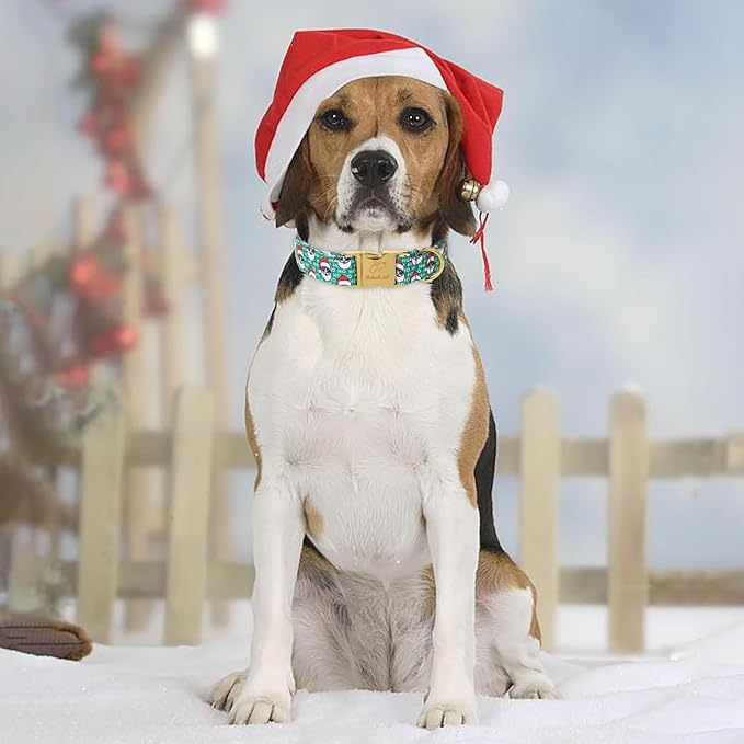 Christmas Dog Collars for Small Dog,Green Santa Claus Dog Collar with Safety Metal Buckle Adjustable Puppy Collars for Medium Large Dog,Boy&Girl&Male&Female Dog Gift,S-10-16"