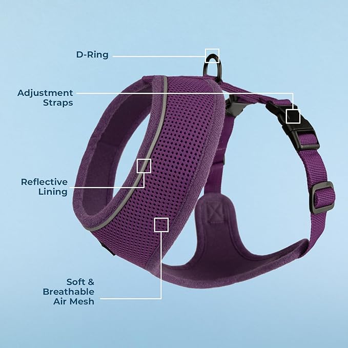 Voyager Aerolite No Pull Mesh Dog Harness with Lightweight, Soft, Breathable, Reflective Stitching, and Adjustable Straps for Walking, Running, Training, Heavy Duty and Durable - Purple, M