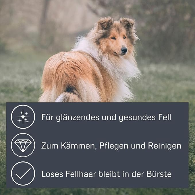 Bamboo Groom Combo Brush with Bristles & Stainless Steel Pins for Pets, Large