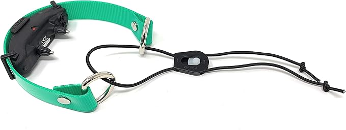 Sparky Pet Co - ECollar Replacement Strap - Bungee Dog Collar - Waterproof - Adjustable - Secure Nexus Wheel Lock - for Electronic Training & Invisible Fence Systems - 1" (Green)