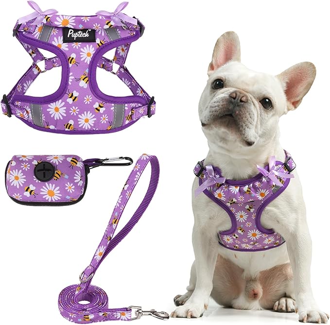 PUPTECK No Pull Dog Harness and Leash Set Reflective No Choke Step in Puppy Halter for XS Small and Medium Sized Dogs, Purple, Printed Fabric, M