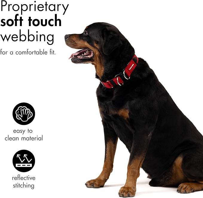 EzyDog Double Up Premium Nylon Dog Collar - Double D-Rings for Superior Strength, Safety, and Comfortability - Non-Rusting and Includes an ID Attachment (Small, Denim)