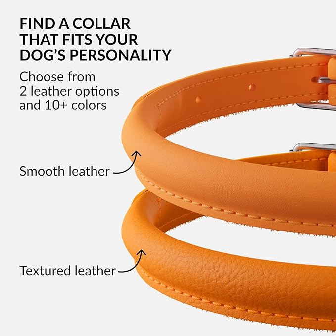 CollarDirect Rolled Leather Dog Collar, Soft Padded Round Puppy Collar, Handmade Genuine Leather Collar Dog Small Large Cat Collars 13 Colors (13-16 Inch, Orange Smooth)
