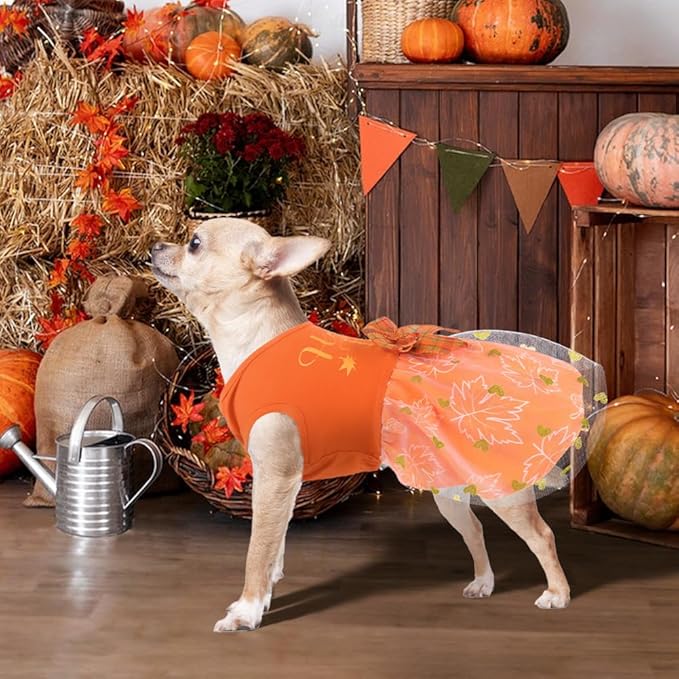 Thanksgiving Dog Outfit - Funny Puppy Dress with Bow for Small & Large Dogs, Cute Fall Pet Costume for Halloween & Christmas