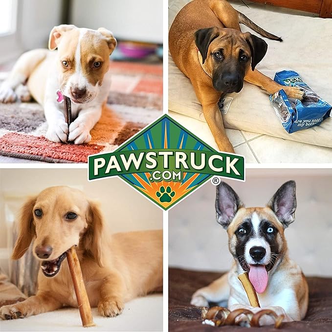 Pawstruck Natural 5-8" Bully Sticks for Dogs - Best Long Lasting, Rawhide Free, Low Odor Dental Chew Treat - Healthy Single Ingredient 100% Real Beef - 8 oz. Bag - Packaging May Vary