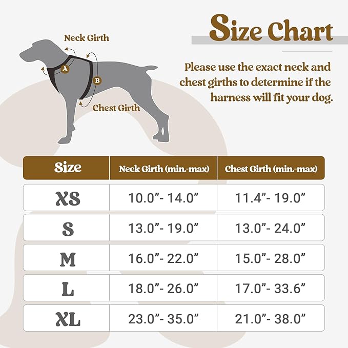 rabbitgoo Dog Harness, No-Pull Pet Harness with 2 Leash Clips, Adjustable Soft Padded Dog Vest, Reflective No-Choke Pet Oxford Vest with Easy Control Handle for Small Dogs, Black, X-Small