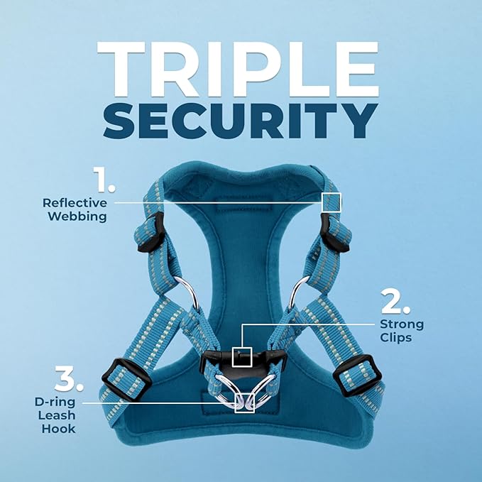 Best Pet Supplies Voyager Adjustable Dog Vest Harness Breathable No Pull Harness for Small, Medium, Large Dogs, Harness for Walking, Jogging, Easy Step-in, Reflective Stripes - (Turquoise), L