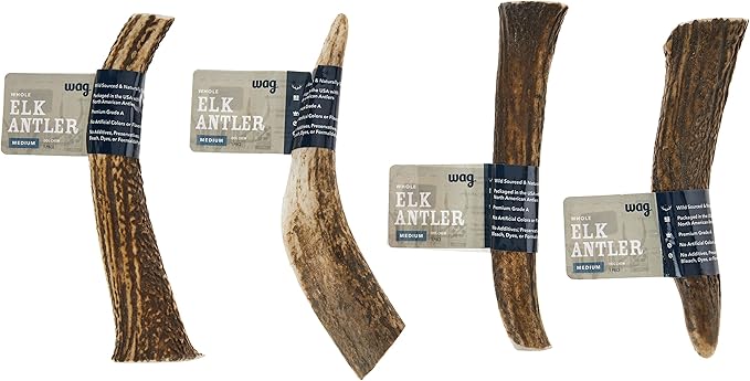 Amazon Brand - Wag Dog Elk Antler Chew, Naturally Shed, Whole, Medium 6-7.5 inches (Best for Dogs 15-30 lbs), 2.90 Ounce (Pack of 4)