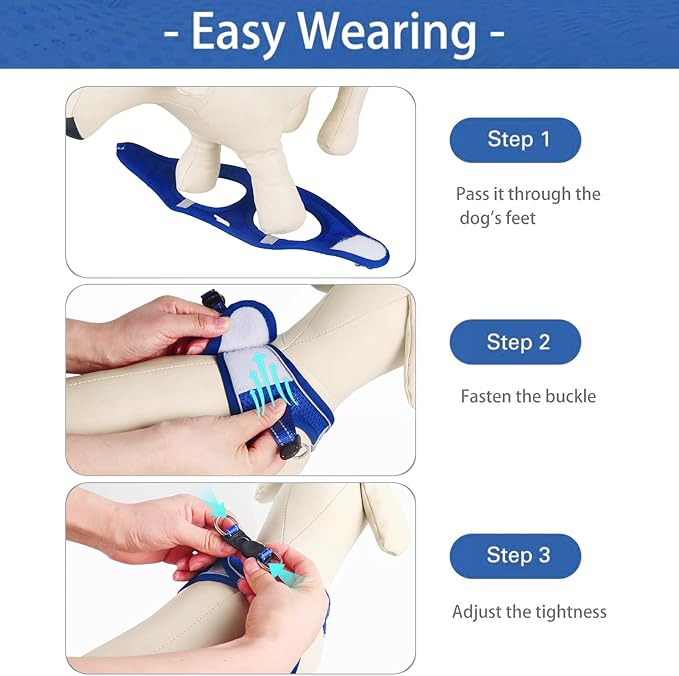 Dog Harness for Small Dogs, Small Dog Harness and Leash Set, Honeycomb Grid, Reflective Lightweight Harness & Anti-Twist Pet Lead,Dog Harness(Multi Color, Size: XS-S-M) (M, Sapphire Blue)