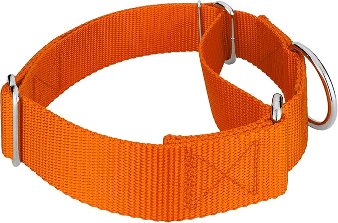 Country Brook Petz 1 1/2 Inch Martingale Heavy Duty Nylon Adjustable Dog Collar for Small, Medium, Large Breeds - Vibrant 17 Color Selection (Orange, Extra Large)