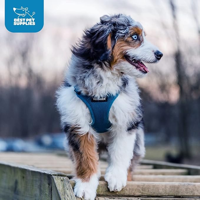 Voyager Step-In Air Dog Harness - All Weather Mesh, Reflective, No Pull Harness for Small, Medium Dogs, Cats - Secure with Hook & Loop Fastener, Buckle, Double D-Rings - Turquoise, XXXS