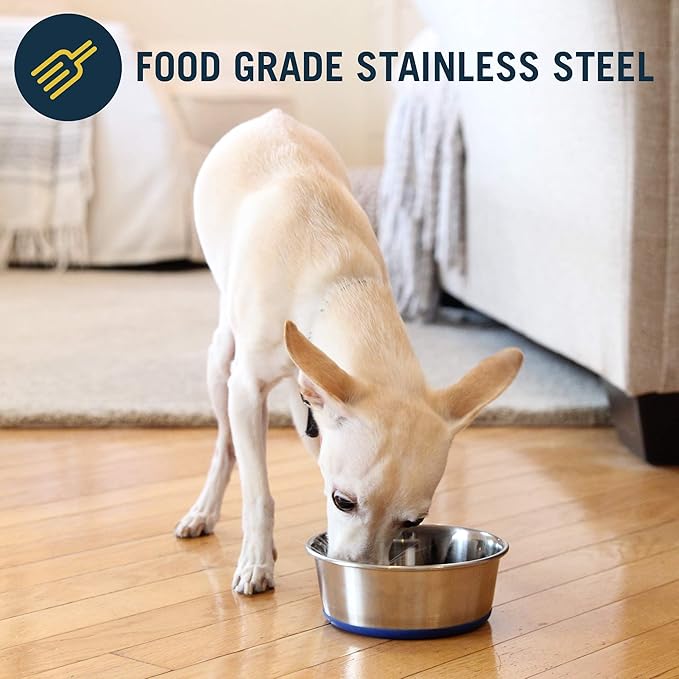 OurPet's DuraPet Premium Dishwasher Safe Stainless Steel Dog Bowl for Food or Water [Multiple Sizes for Small to Large Dogs] in Traditional or Wide Base Design - 2.25 Cup