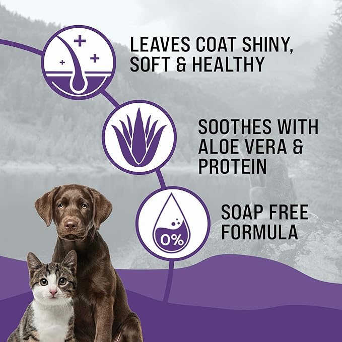 Dr. Boe's Veterinary Essentials GentleCoat Tearless Shampoo and Conditioner – Puppy and Kitten Soap-Free Formula – Grooming Supplies – All Natural, Aloe Vera & Gentle Proteins – 16 Fl Oz.