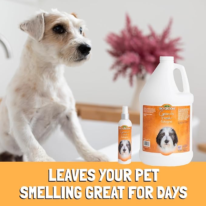 Bio-Groom Groom'n Fresh Dog Cologne - Dog Perfume, Dog Bathing Supplies, Puppy Cologne, Dog Wash, Cat & Dog Grooming Supplies, Cruelty-Free, Made in USA - 32 fl oz 1-Pack