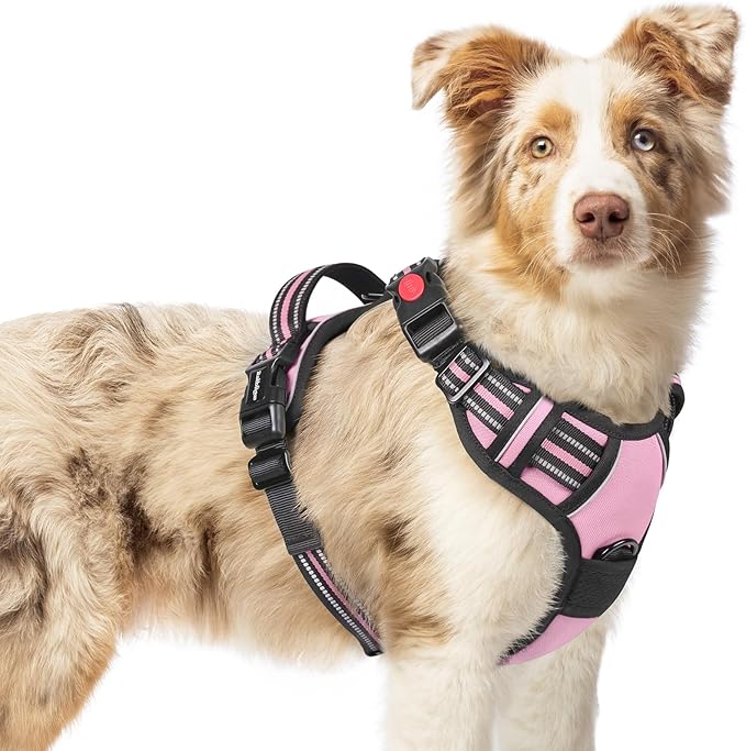 rabbitgoo Dog Harness Medium Sized, No Pull Pet Harness with 3 Buckles, Adjustable Soft Padded Dog Vest with Instant Control Handle, Easy Walking Reflective Pet Vest for Medium Dogs, Pink, M