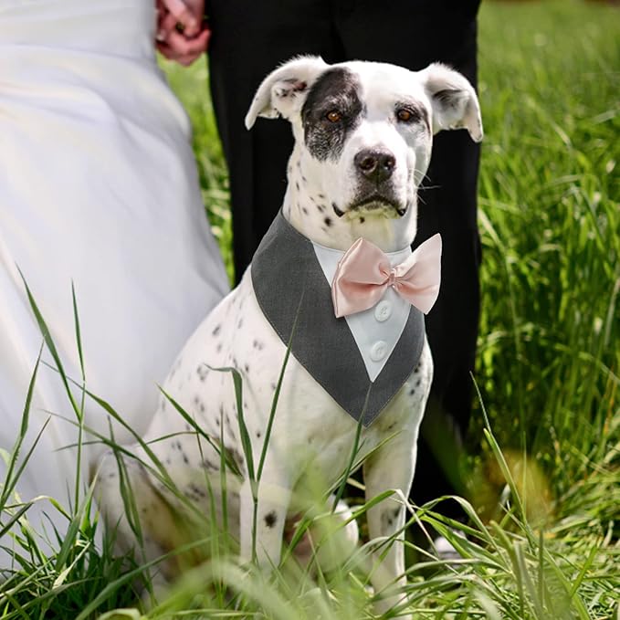FUAMEY Dog Tuxedo,Formal Dog Wedding Bandana Dog Collar with Bow Tie Dog Birthday Costume Adjustable Pet Party Tux Dog Wedding Attire,Dog Valentines Outfit Cosplay for Small Medium Large Pets Grey L