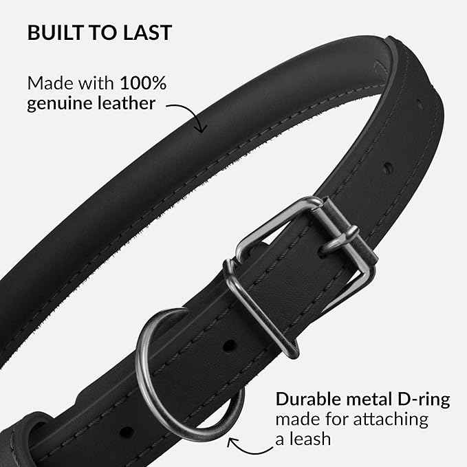 CollarDirect Rolled Leather Dog Collar, Soft Padded Round Puppy Collar, Handmade Genuine Leather Collar Dog Small Large Cat Collars 13 Colors (8-11 Inch, Black Smooth)