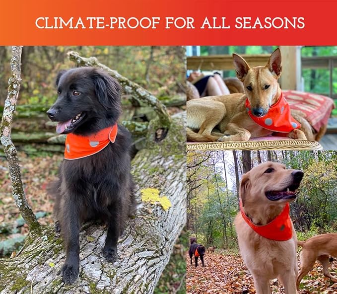 SPOT THE DOG! Reflective Dog Bandanas - High Visibility Safety Dog Accessories for Small, Large Dogs, Orange Collar, Scarf, Kerchief, Bib for Hunting, Camping, Walking at Night (Blaze Orange, M-L)