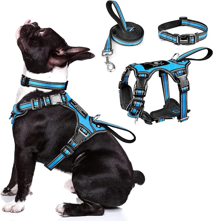 WINSEE Pet Harness Collar and Leash Set, All-in-one Reflective Dog Harness No Pull with Adjustable Buckles for Puppies, Small, Medium, Large, and Extra-Large Dogs (Medium, Blue)