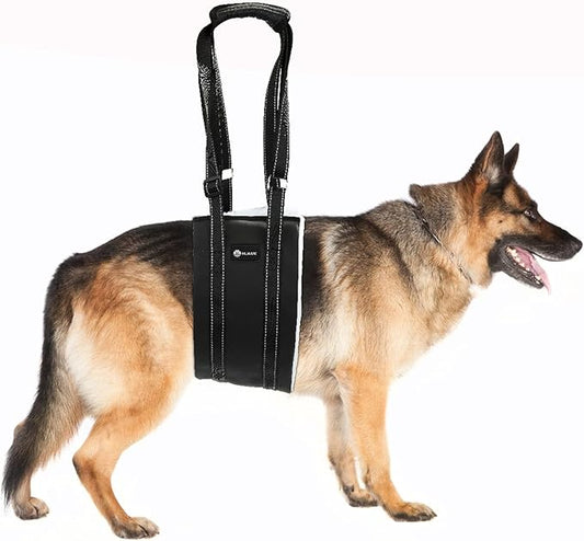 20-130 lbs Dog Lift Harness, Dog Sling for Large Dogs Hind Leg Support, Dog Support Harness for Back Legs, Help Lift Rear for Canine, Up and Down Stairs, Canine Aid (Large) Black