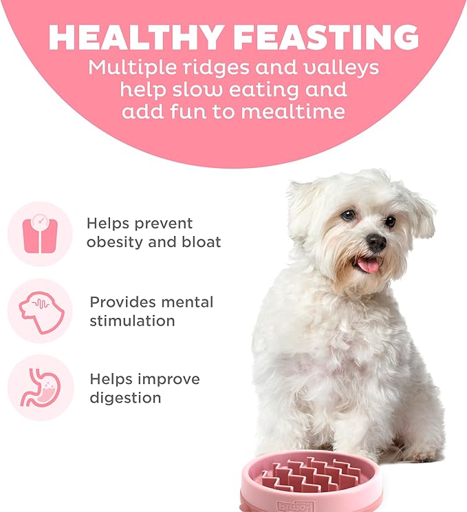 Outward Hound Fun Feeder Slo Bowl, Small Slow Feeder Dog Bowl, 3/4 Cups, Mini, Pink