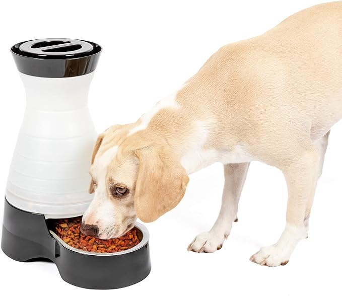 PetSafe Healthy Pet Food Station - Medium, 4 lb Kibble Capacity - Gravity Pet Feeder Dry Food Dispenser, Automatic Cat Feeder, Small to Medium Dog Feeder - Removable Stainless Steel Bowl Included