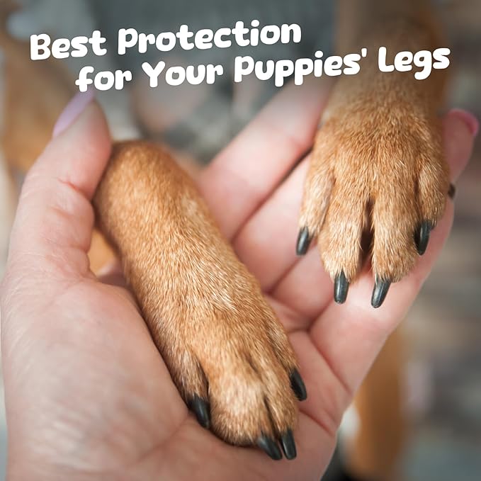 Dog Playpen with Door, 6-Panel 24" Indoor Cat Puppy Playpen, Strong Plastic Small Pet Safety Fence Dog Pen, Non-Slip and Secure Pet Gate, Green