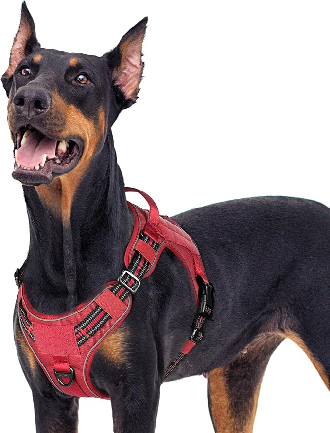 rabbitgoo Dog Harness for Large Dogs No Pull, Tactical Service Dog Vest with Molle and Control Handle, Adjustable and Reflective Military Pet Harness for Easy Walking and Training, Red, XL