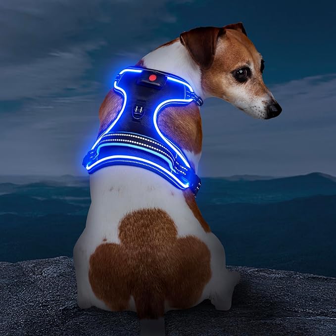 Light Up Dog Harness No Pull LED Dog Harness with Handle Vizbrite Rechargeable Lighted Dog Vest Harness for Small/Medium/Large/X-Large Size Dogs No Pull, 4 Point Adjustable Dog Harness