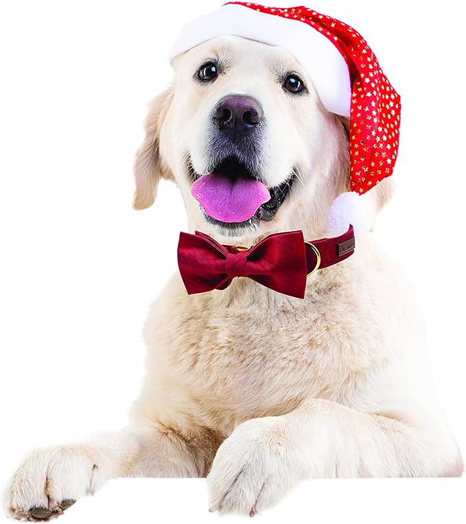 MR. CHUBBYFACE Dog Collar with Bow, Adjustable Girl Boy Dog Collar Bow Tie, Cute Dog Collar for Small Medium Large Dogs