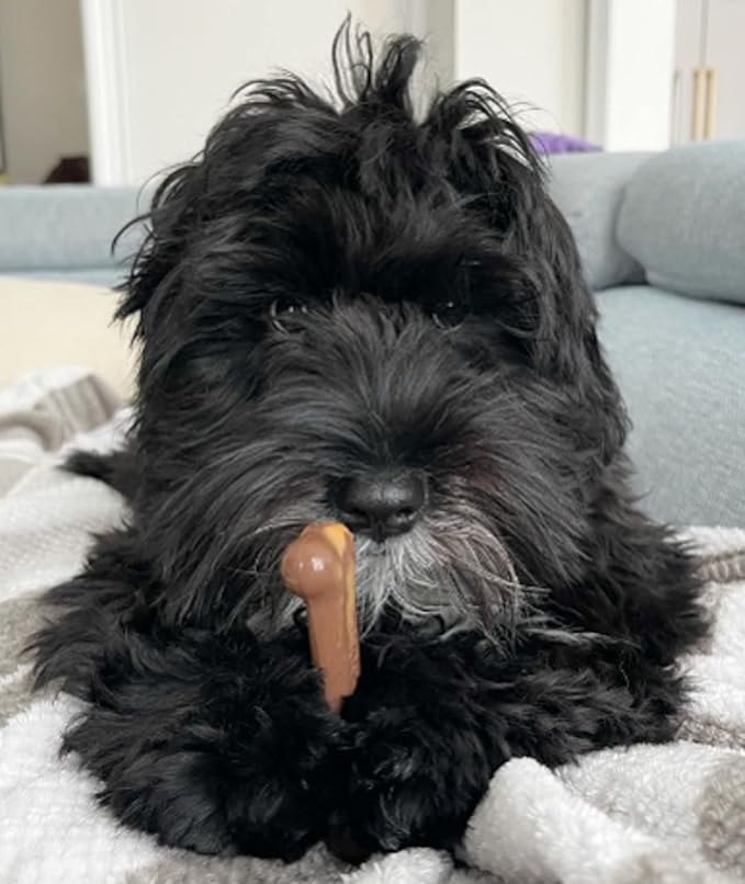 Nylabone Power Chew Flavor Frenzy Bone Chew Toy for Dogs, Indestructible Chew Toys for Aggressive Chewers, Chili Cheese Dog, & Popcorn & Cherry Flavor, Small/Regular - Up to 25 Ibs. (3 Count)