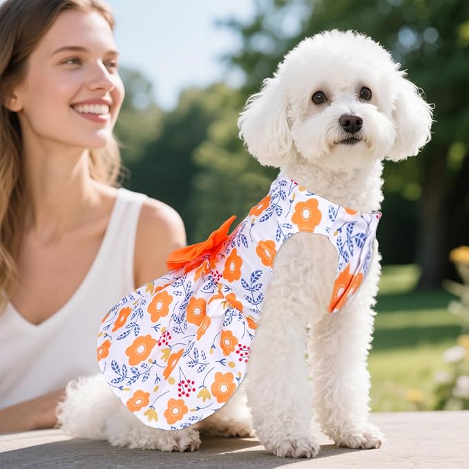 choyaxo Floral Dog Dress Cute Dog Skirt Pet Dress Summer Pet Clothes for Puppy Small Cats
