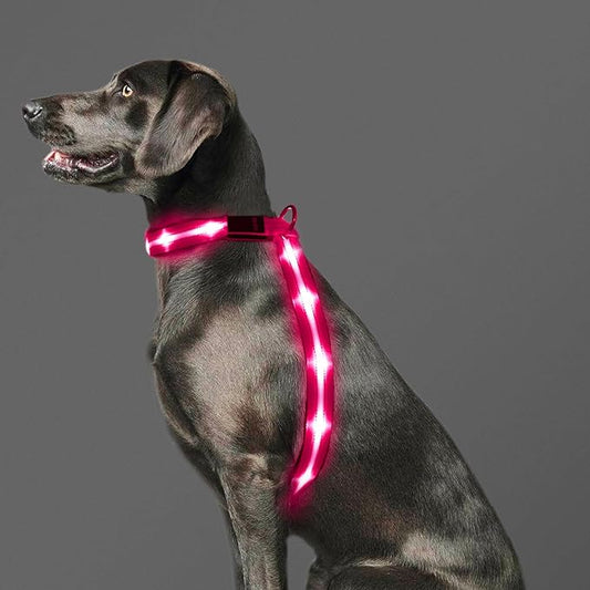 LED Light Up Dog Vest Harness Rechargeable, Soft Padded, Adjustable & Reflective Lighted Dog Harness Waterproof, Glow Dark Dog Light Harness for Camping Night Safety Walking, Large Pink