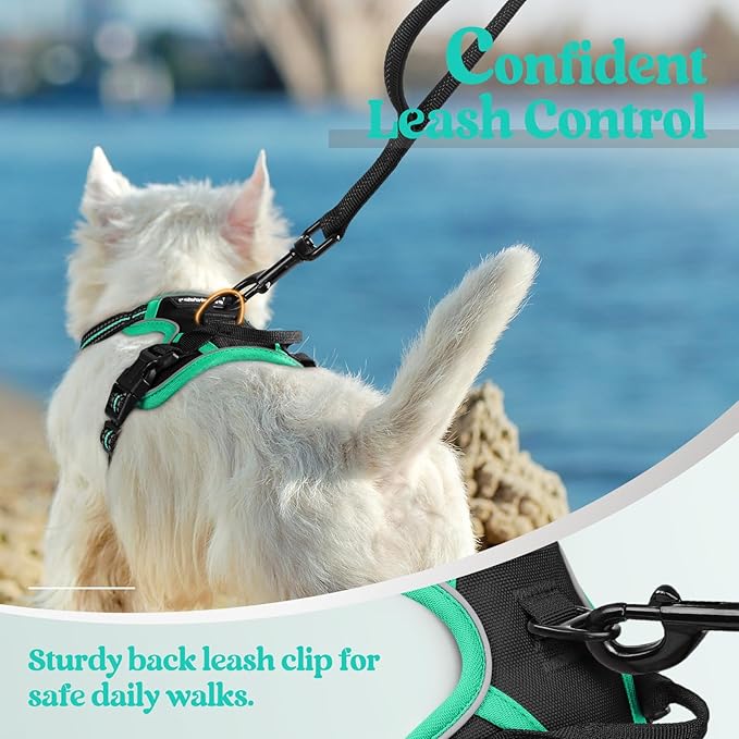 rabbitgoo Dog Harness, No-Pull Pet Harness with 2 Leash Clips, Adjustable Soft Padded Dog Vest, Reflective No-Choke Pet Oxford Vest with Easy Control Handle for Large Dogs, Black & Turquoise, X-Small