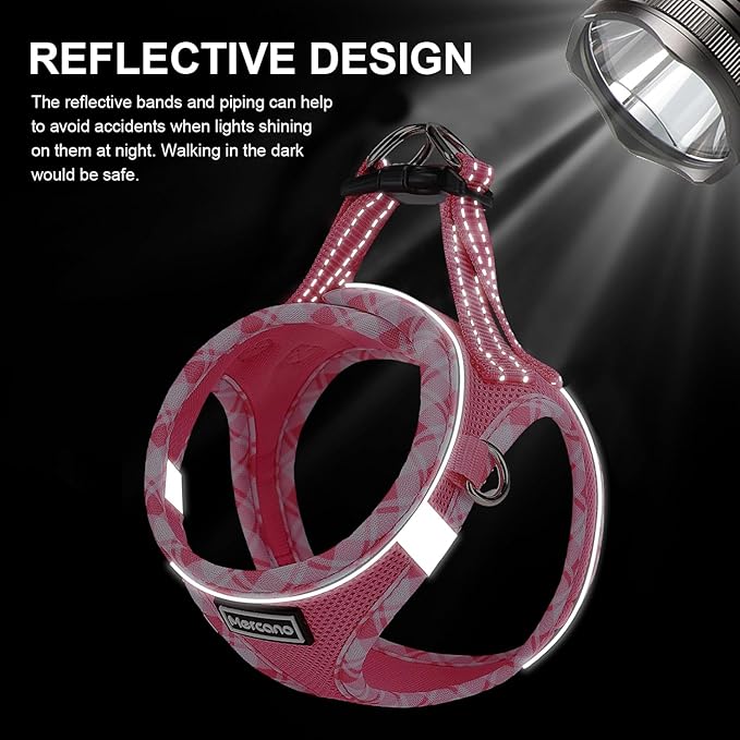 Mercano Soft Mesh Dog Harness and Leash Set, No-Chock Step-in Reflective Breathable Lightweight Easy Walk Vest Harnesses with Safety Buckle for Small Medium Dogs, Cats (M, Fuchsia)