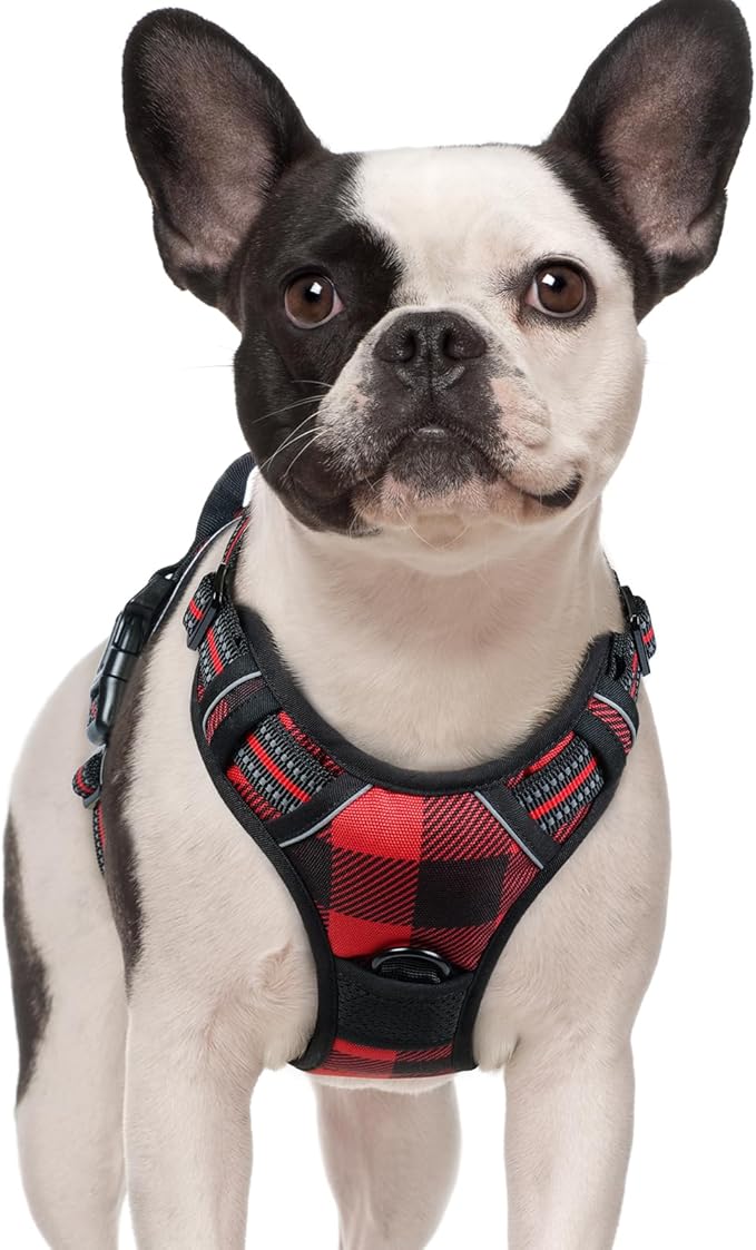 rabbitgoo Dog Harness Small Sized Dog No Pull, Comfortable Padded Plaid Dog Harness with Handle Easy Control, Adjustable Reflective Puppy Pet Harness Vest with 2 Leash Clips, Red Plaid, S