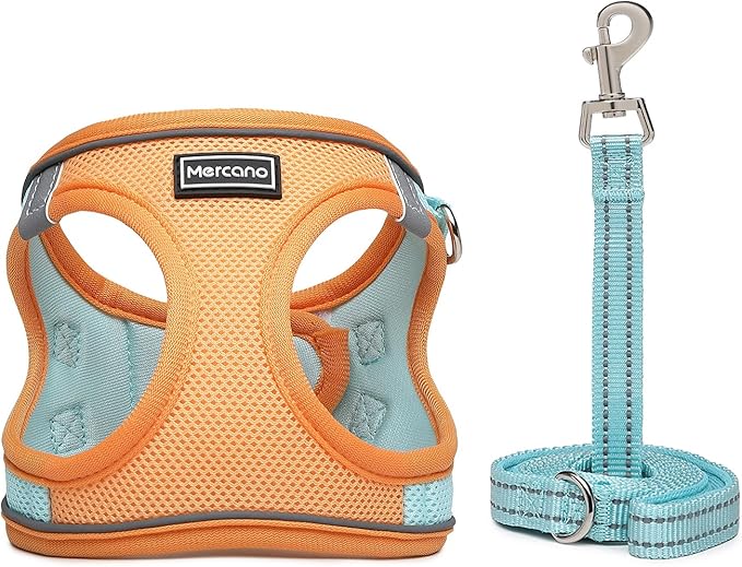 Mercano Soft Mesh Dog Harness and Leash Set, No-Chock Step-in Reflective Breathable Lightweight Easy Walk Escape Proof Vest Harnesses with Safety Buckle for Small Medium Dogs, Cats (XS, Orange Blue)