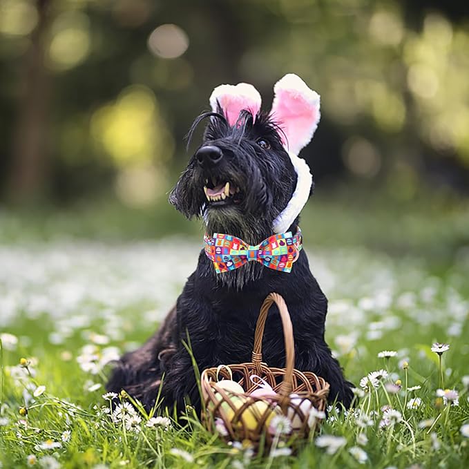 Unique Style Paws Easter Day Dog Collar with Bow Colorful Egg Rabbit Dog Collar Bowtie Bowtie Collar for Large Medium Small Dogs