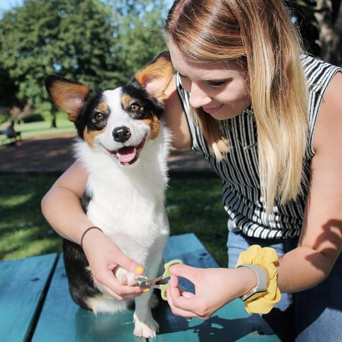 Coastal Pet - Safari - Dog Nail Trimmer, No Color, One Size (3.5" L x 2.125" W)