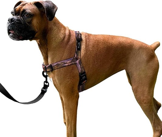 ShawnCo Dream Walk No-Pull Dog Harness- Adjustable, Comfortable, Easy to Use Pet Halter to Help Stop Pulling for Small, Medium and Large Dogs- Art Pattern Designs (Montana Daydream, S)